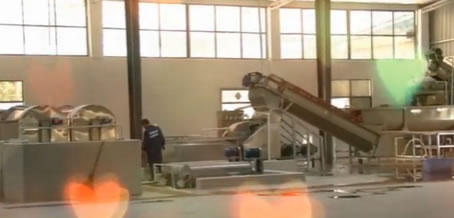 ��ĩͿ����������